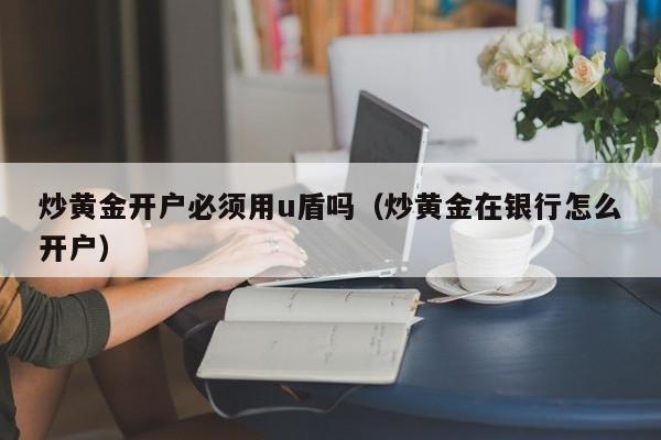 炒黄金开户必须用u盾吗（炒黄金在银行怎么开户）