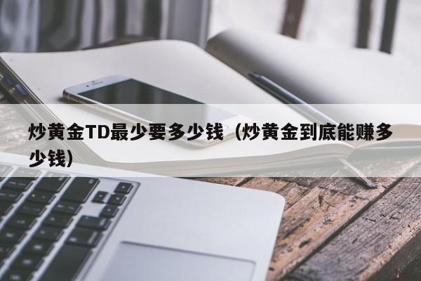 炒黄金TD最少要多少钱(炒黄金到底能赚多少钱)