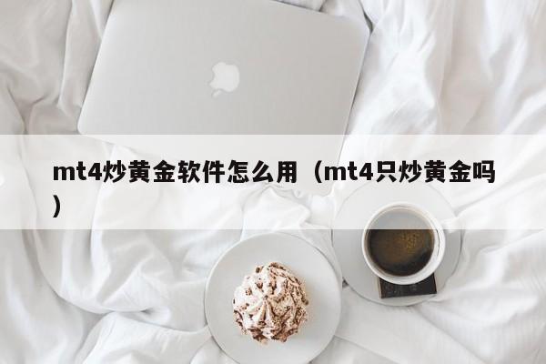 mt4炒黄金软件怎么用（mt4只炒黄金吗）