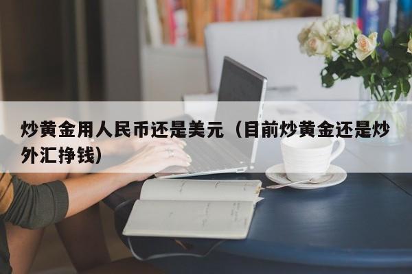 炒黄金用人民币还是美元（目前炒黄金还是炒外汇挣钱）