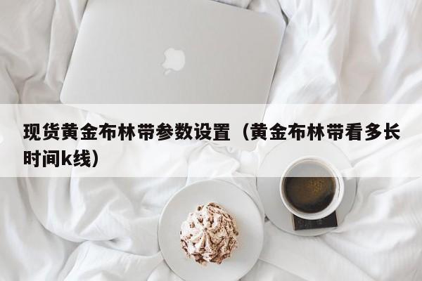 现货黄金布林带参数设置(黄金布林带看多长时间k线)
