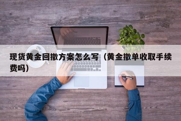 现货黄金回撤方案怎么写（黄金撤单收取手续费吗）